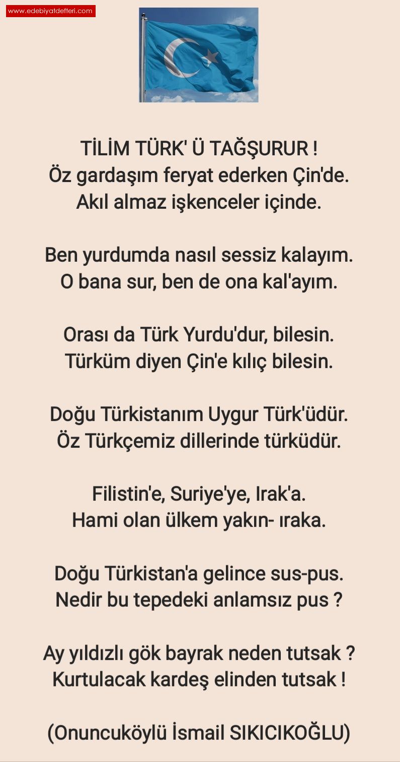 Tilim Türk'ü Tağşurur !