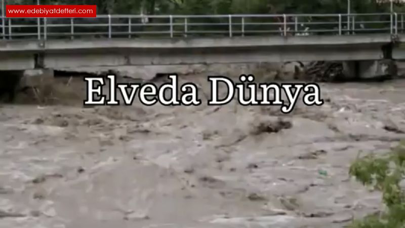 Elveda Dnya