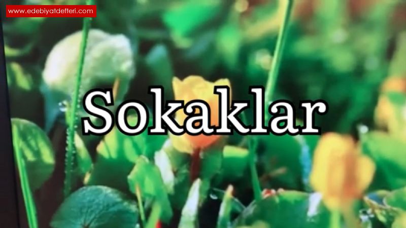 Sokaklar