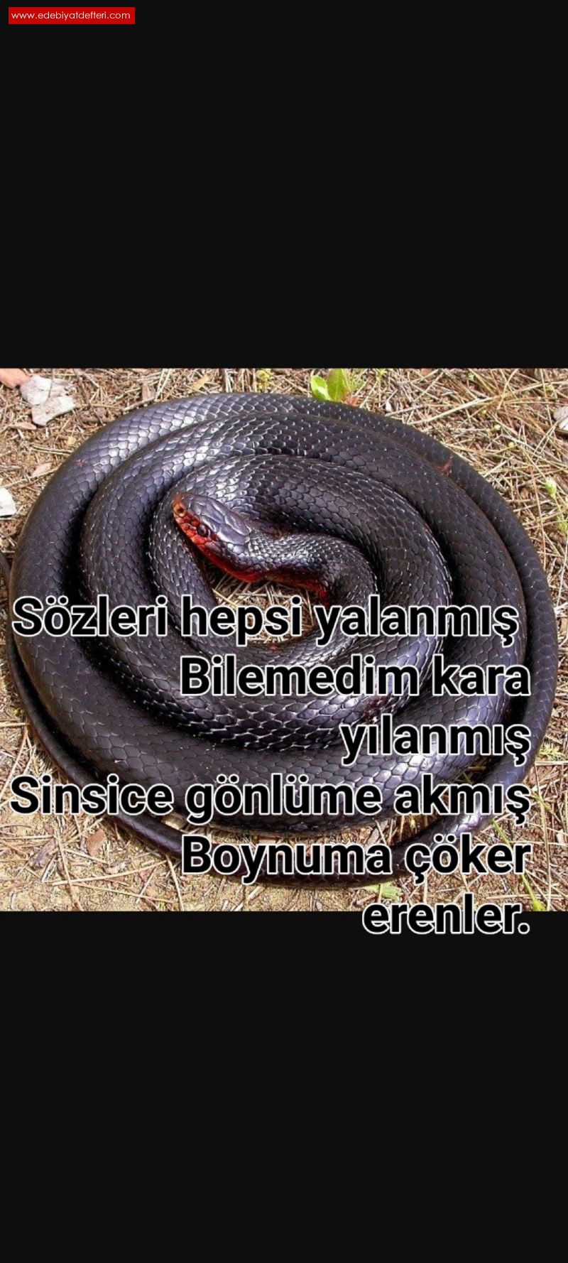 KELEPE SIKAR ERENLER