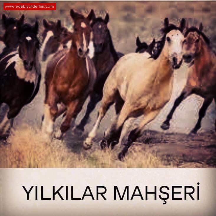 YILKILAR MAHER