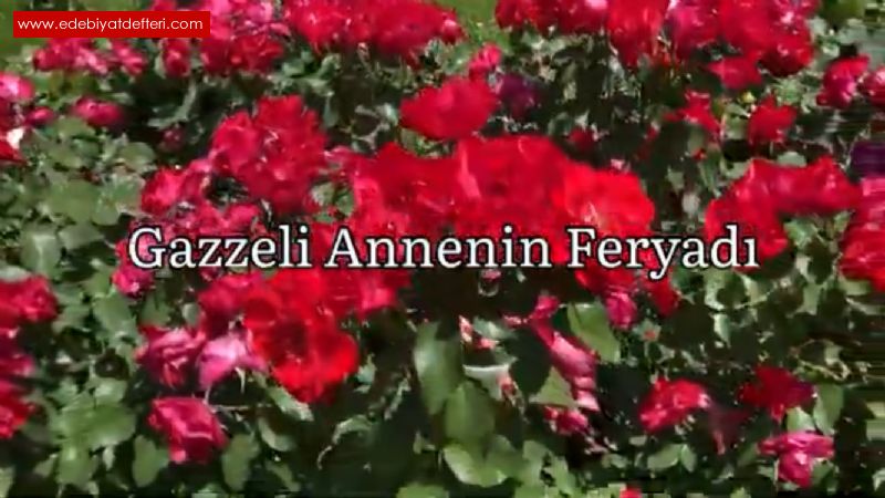 Gazzeli Annenin Feryad