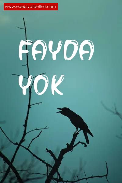 FAYDA YOK