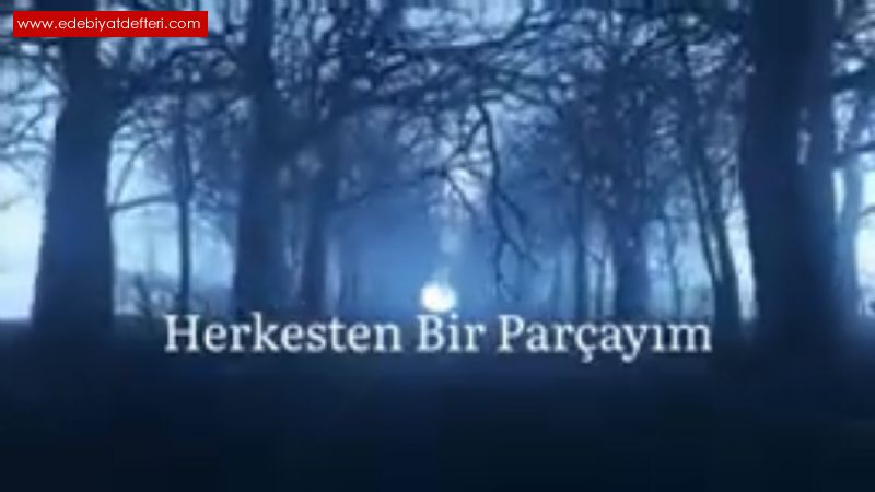 Herkesten Bir Paraym