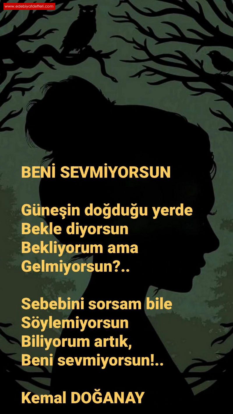 BEN SEVMYORSUN