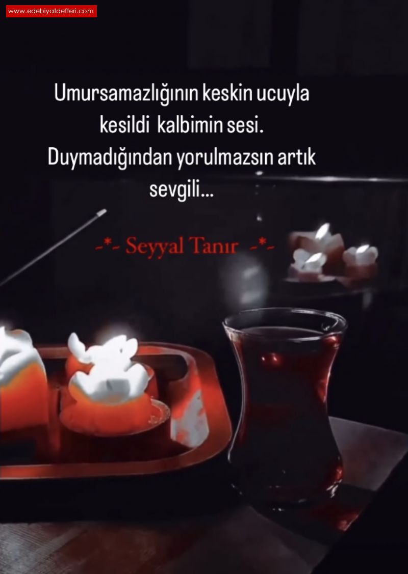 YORULMAZSIN ARTIK SEVGL