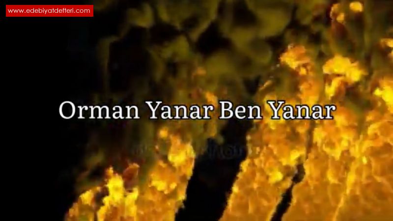 Orman Yanar Ben Yanar