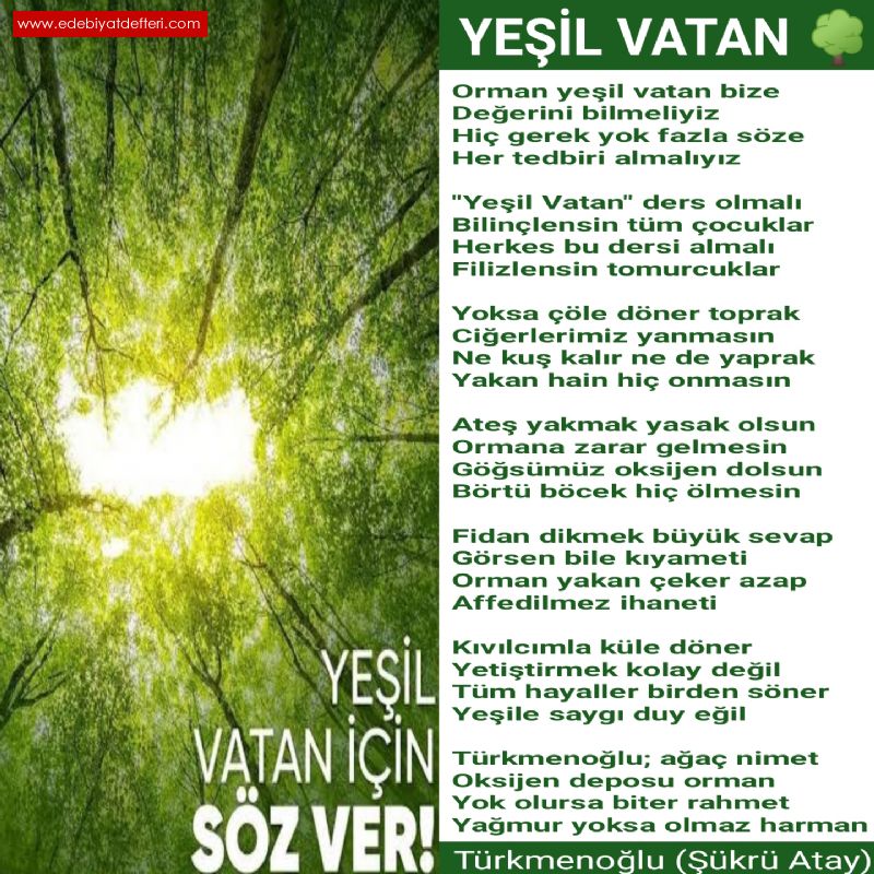 YEL VATAN 🌳