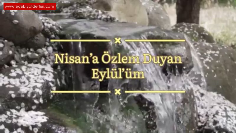 Nisana zlem Duyan Eyllm