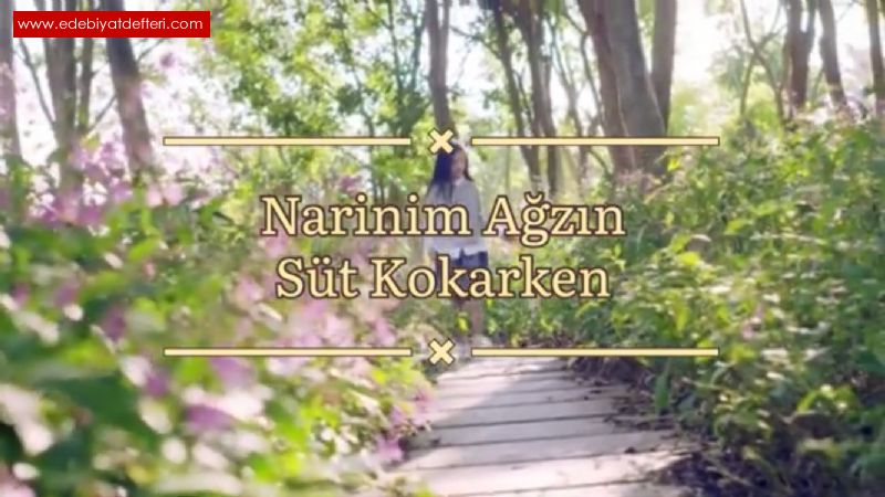 Narinim Azn St Kokarken