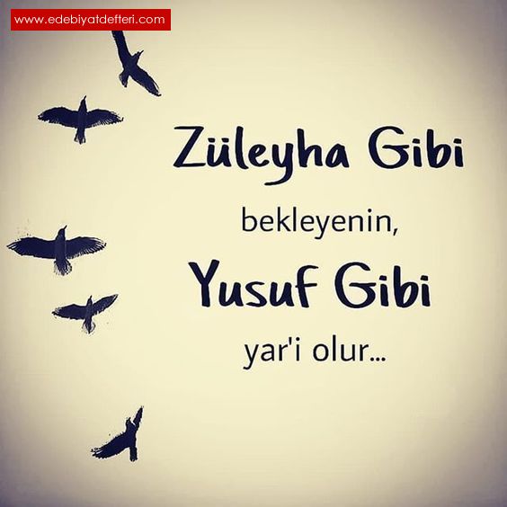 YUSUF YZL