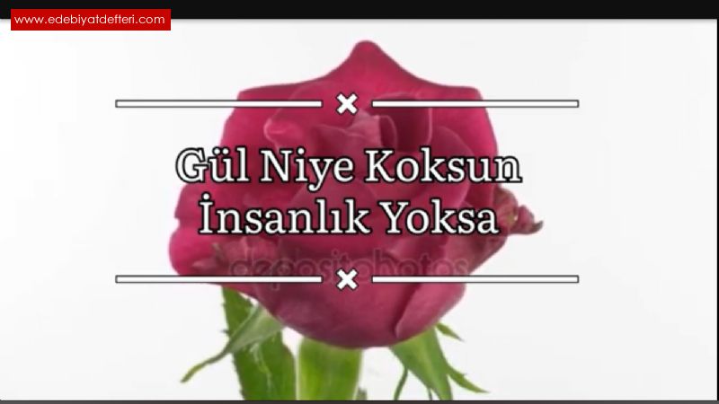 Gl Niye Koksun nsanlk Yoksa