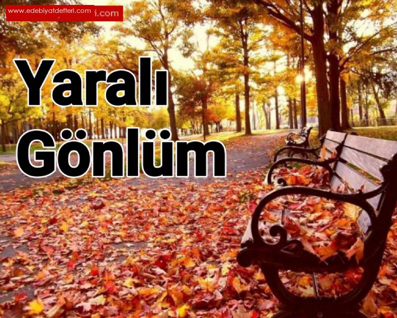 Yaral Gnlm