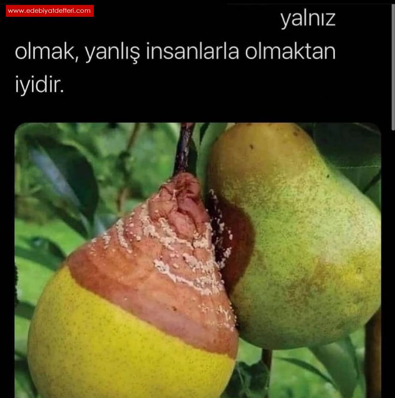 BU  HAYAT DA  DAMA  Y  ARKADALAR   EDNMEL.