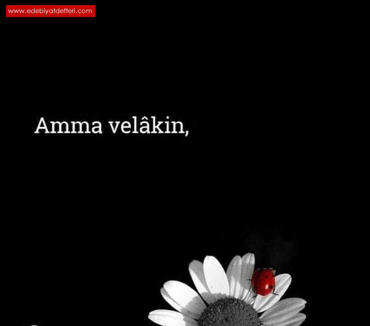 Amma Velakin