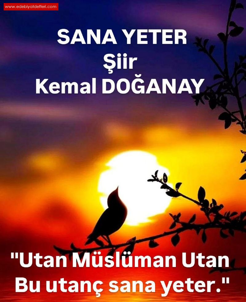 SANA YETER