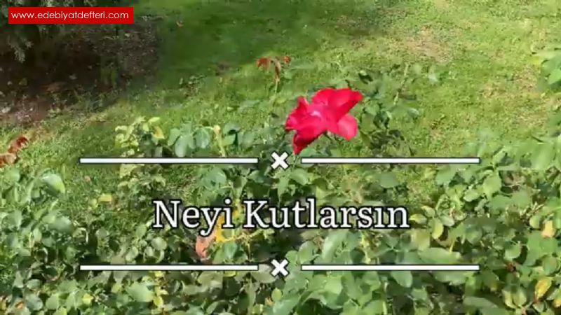 Neyi Kutlarsn