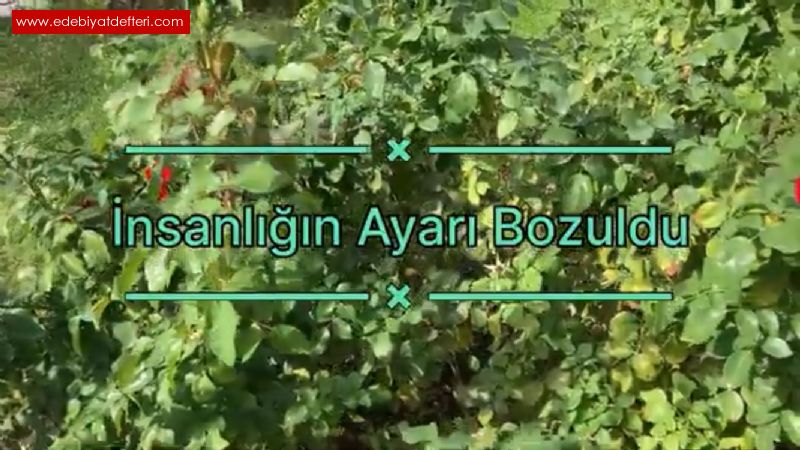 nsanln Ayar Bozuldu