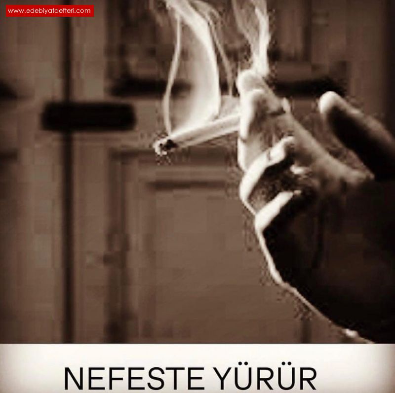 NEFESTE YRR