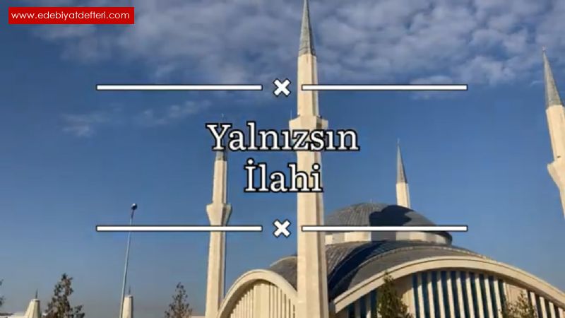 Yalnzsn