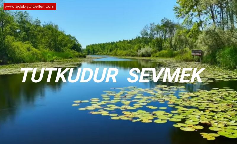 TUTKUDUR SEVMEK