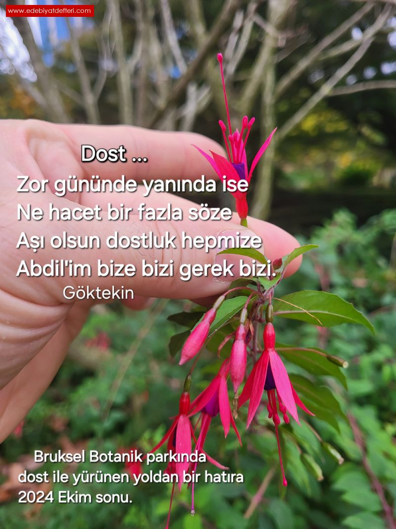 Dost ile