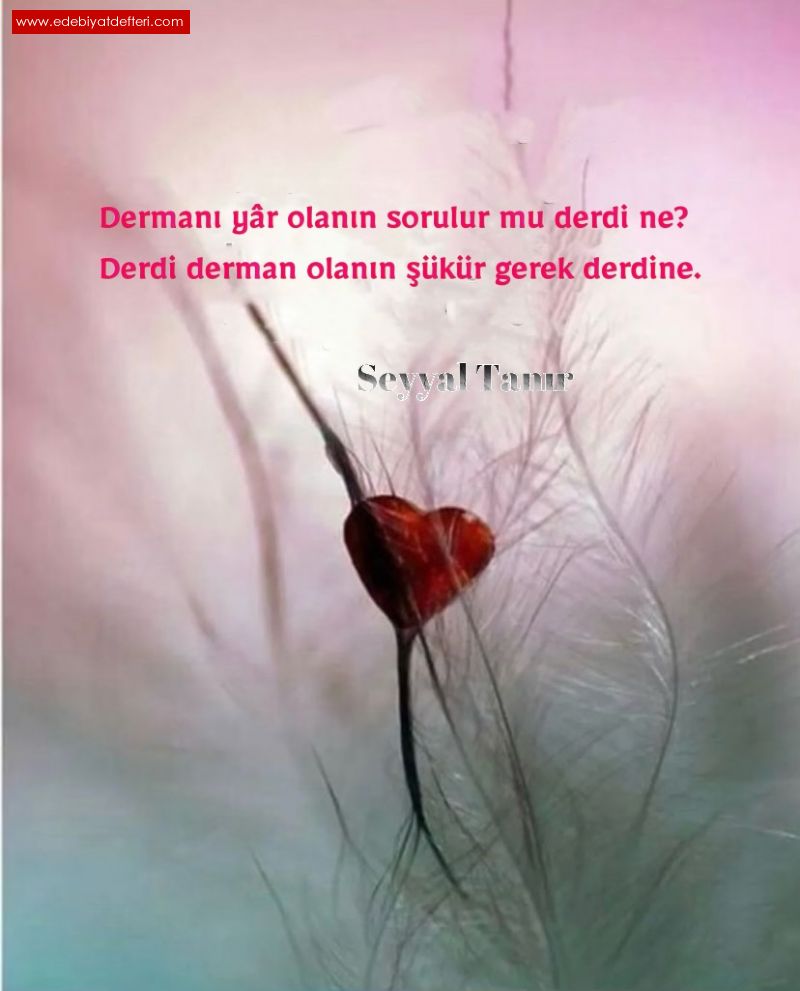 DERD NE