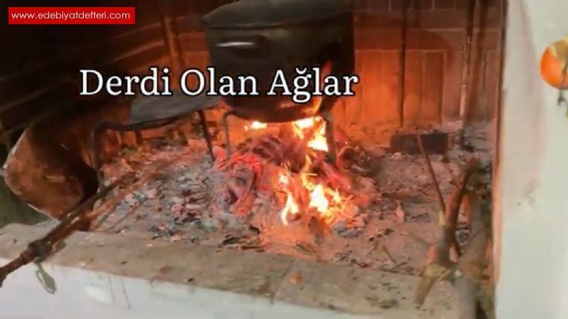 Derdi Olan Alar