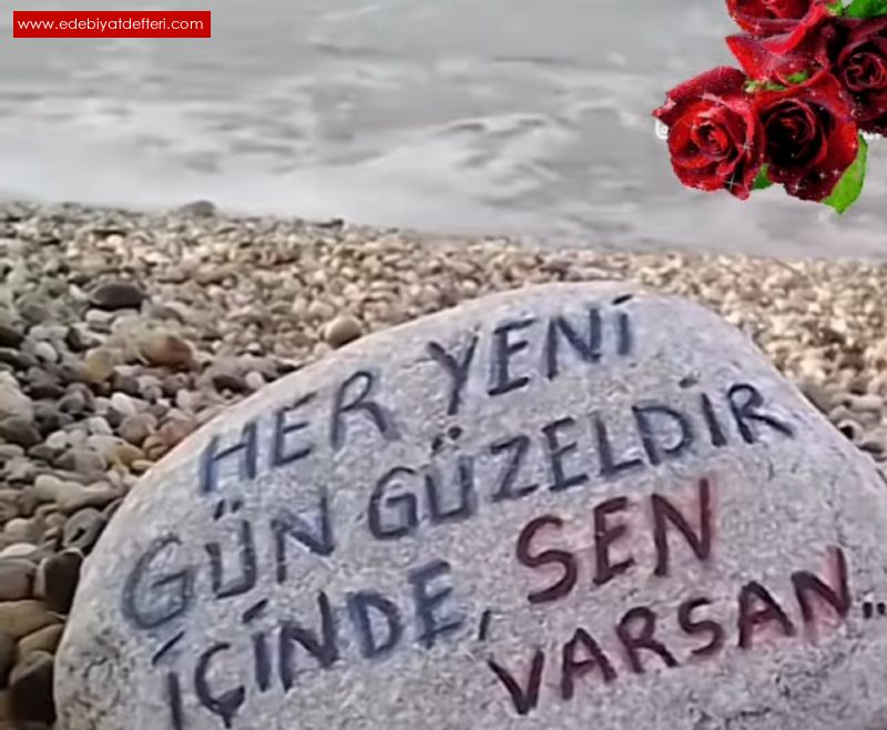 AK NERDE YAANIR