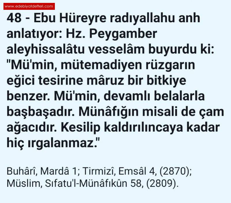 MMNN MTHANI ZORDUR NK  STE ALLAH  RIZASIDIR  VE  OK KIYMETLDR.