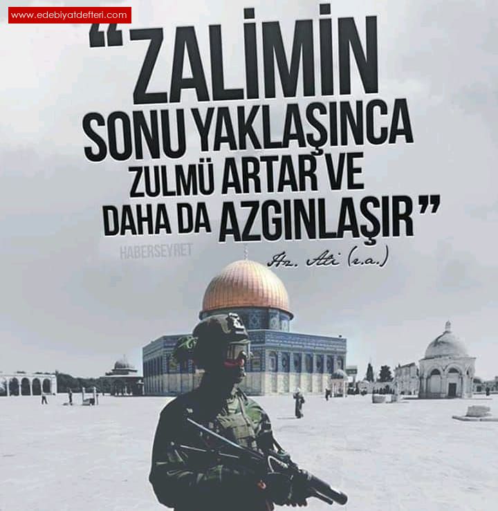 ZALMN ZULM VARSA