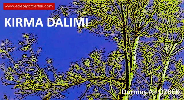 KIRMA DALIMI