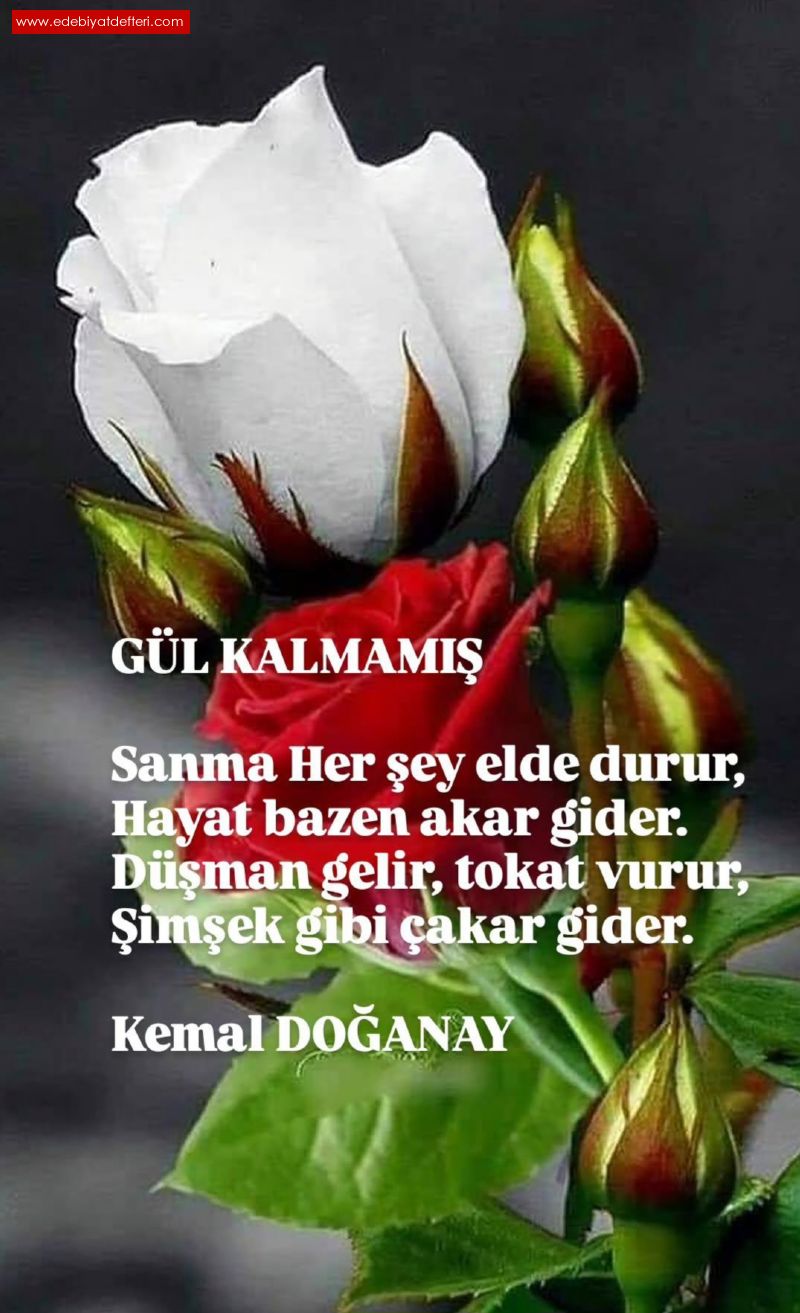 GL KALMAMI