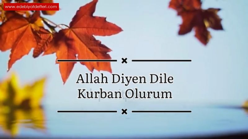 Allah Diyen Dile Kurban Olurum