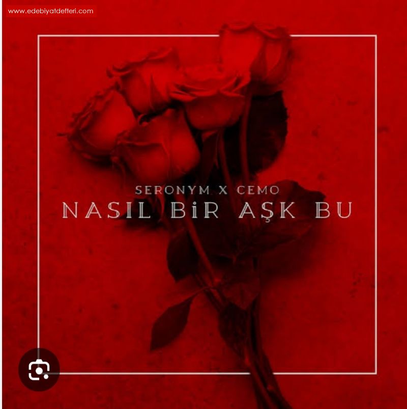 Bu nasil bir duygu