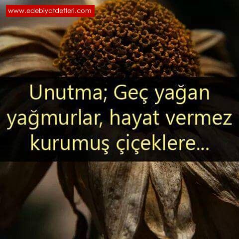 YOR YALNIZLIIM...