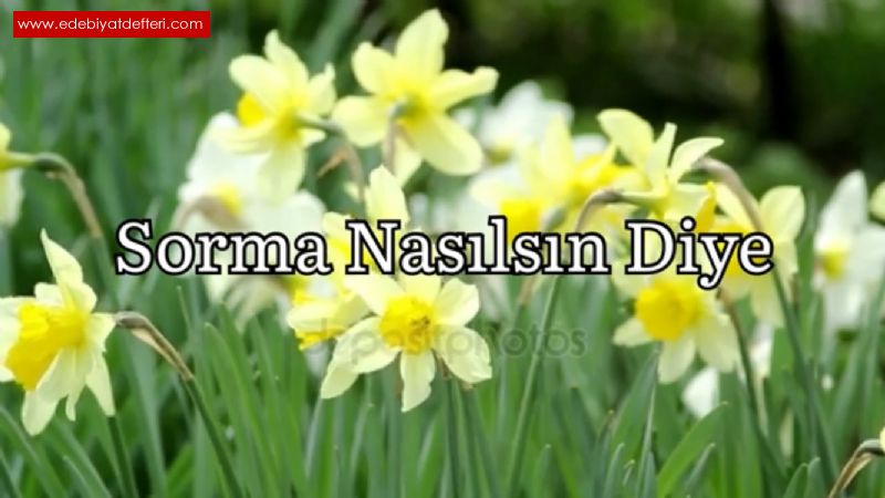 Sorma Naslsn Diye