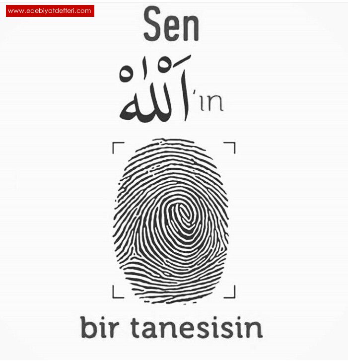 SEN  ALLAHU TEALANIN   BR TANESSN  BRF  TANES. .