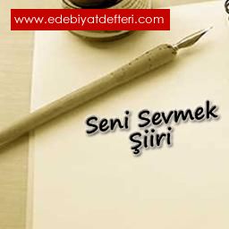 seni sevmek