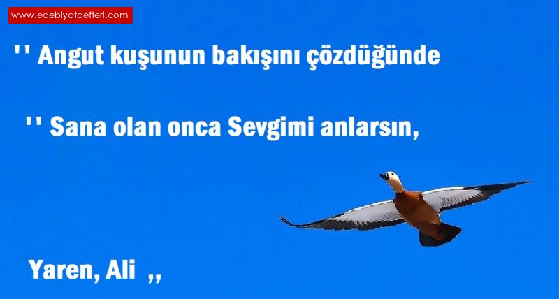 ANGUT  KUUN  BAKII ..!!