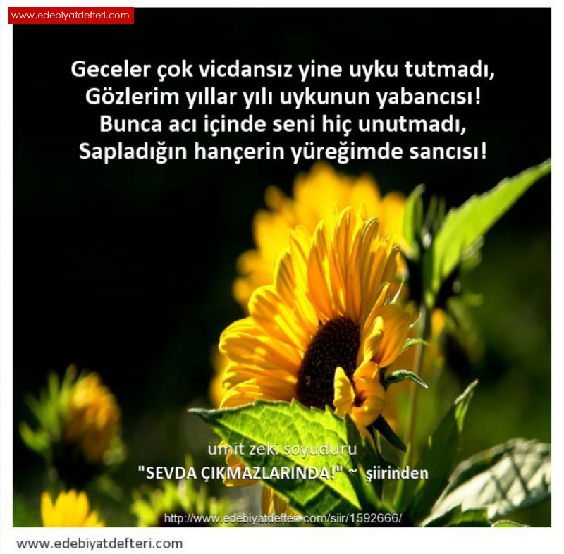 SEVDA IKMAZLARINDA!