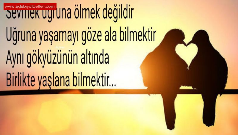 KENDİMDEN ÖZÜR DİLERİM
