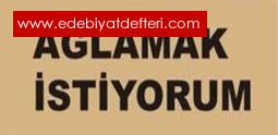 Alamak istiyorum