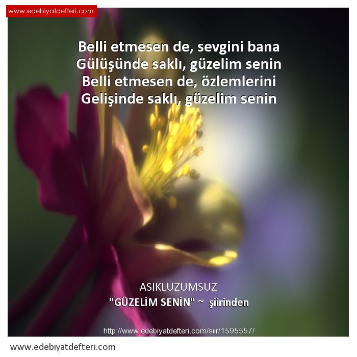GÜZELİM SENİN