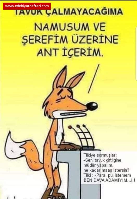 TİLKİ EFENDİ /...