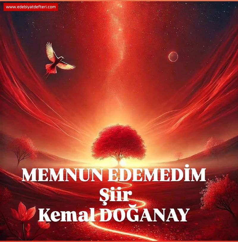 MEMNUN EDEMEDM