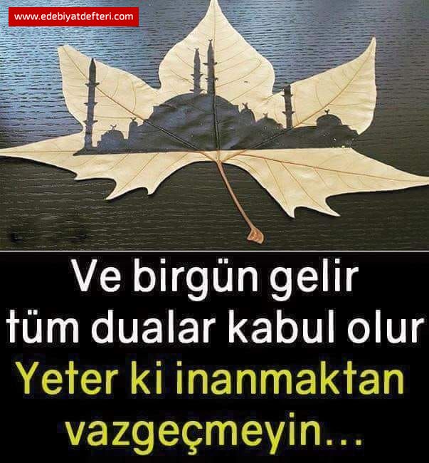 HER BR DUA TESLMYET
