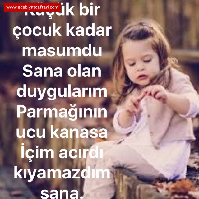 BİR GÜN GELİP