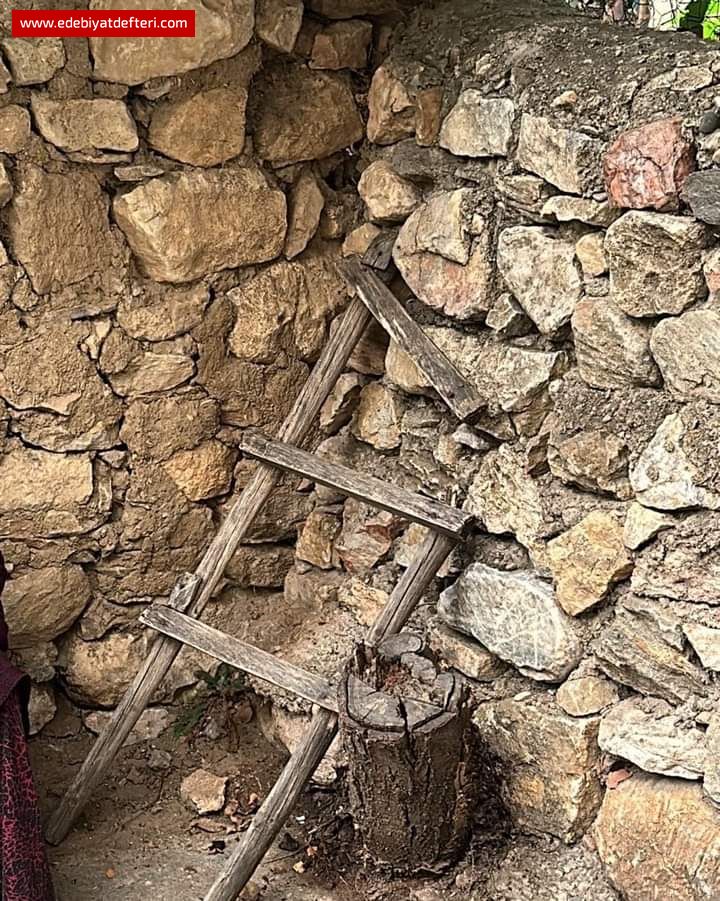 Susunca Kularn Kanat Sesleri