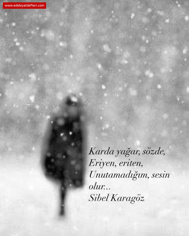 TURNUSOL KAIDI